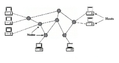 Network Nodes In Computer Network : Types & Their Examples